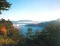 Taiwan Forest